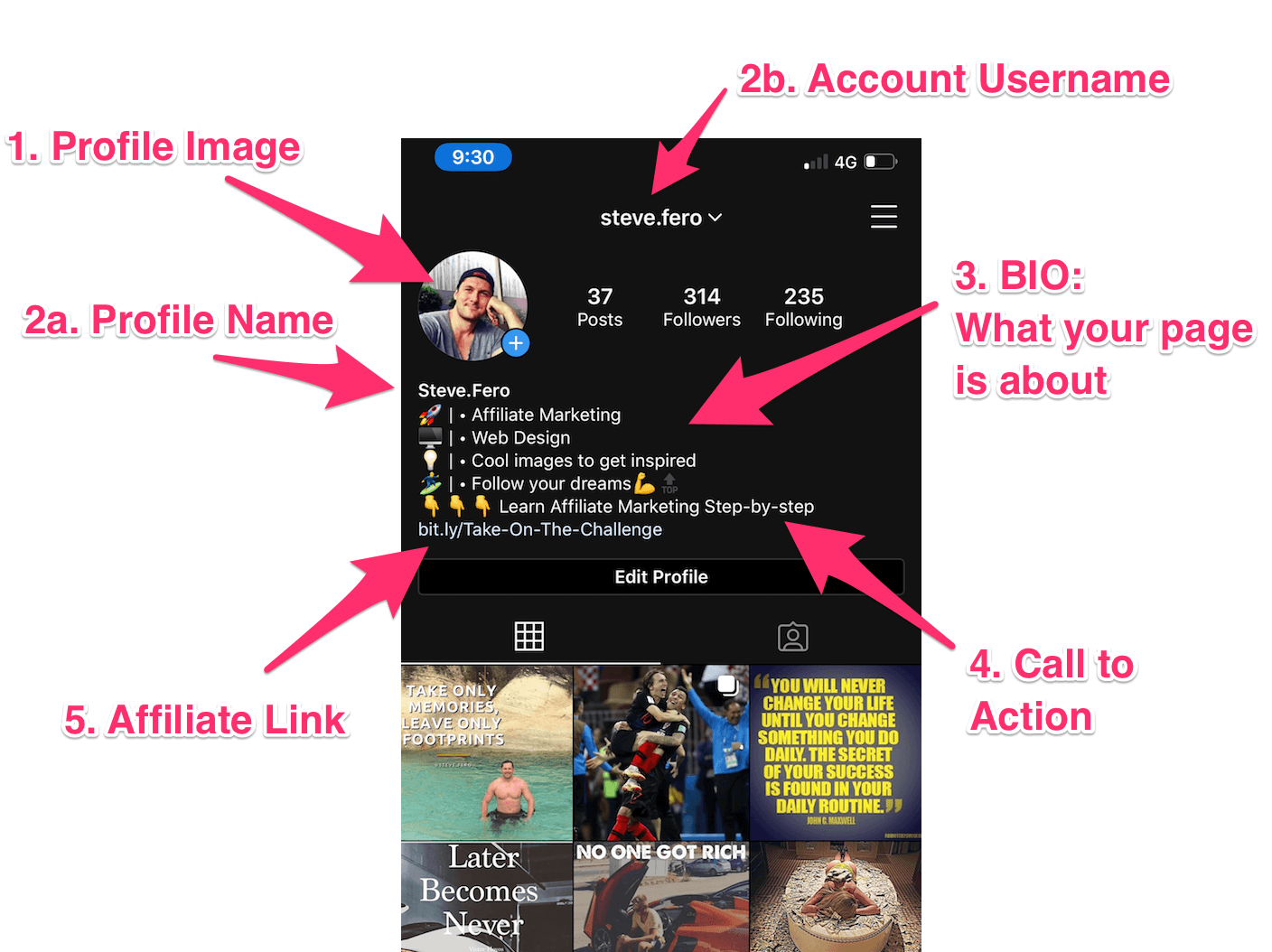 Instagram Page Bio Setup